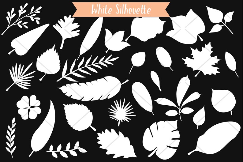 Hand-drawn Leaf Clipart | Botanical Foliage (png, Sg, Pdf, Eps, Dxf) - Etsy