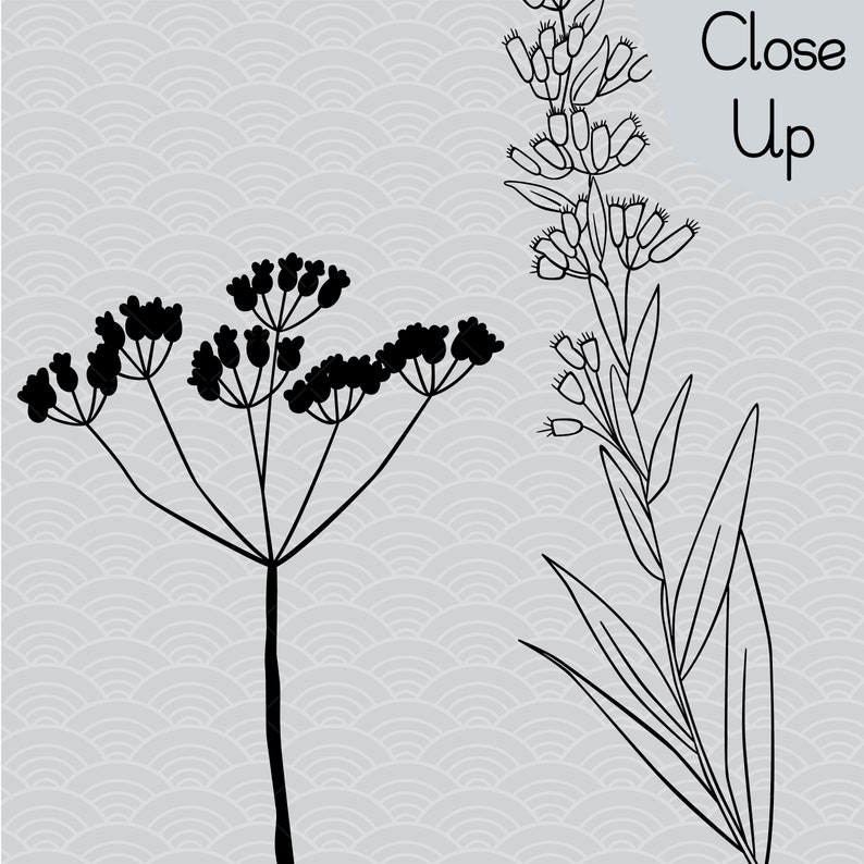 Free Free 303 Hand Drawn Wildflower Svg SVG PNG EPS DXF File