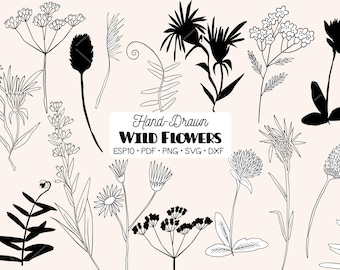 Hand-Drawn Wild Flowers Clipart | Meadow Plants, Leaves & Fern | Png Eps Pdf Svg Dxf