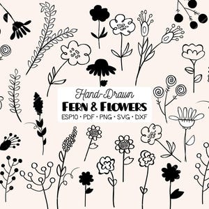 Hand-Drawn Fern & Wild flowers Clipart | Nature, Meadow Plants, Leaves, Branches  | Png Eps Pdf Svg
