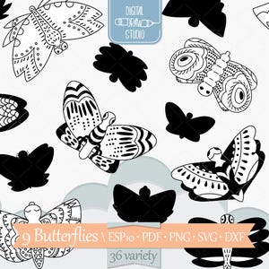 Motyl ręcznie rysowana grafika | Udekorowany zarys ćmy | Urocze stworzenia Clip Art | Png Svg Eps Pdf Dxf