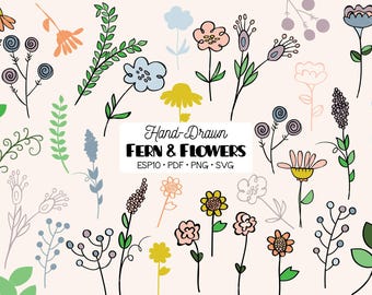 Colored Hand-Drawn Fern & Wildflower Clipart: Meadow Plants (Png, Sg, Pdf, Eps)