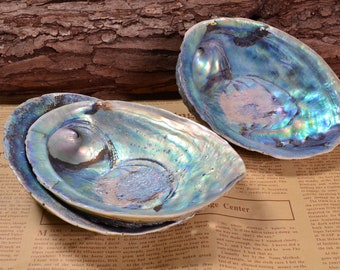 Abalone Shell,Smudge Bowl,Sage Dish,Abalone Dish,wholesale,Smudge Tools,Cleansing,Purification,Metaphysical,Clearing Tools,Bohemian Decor