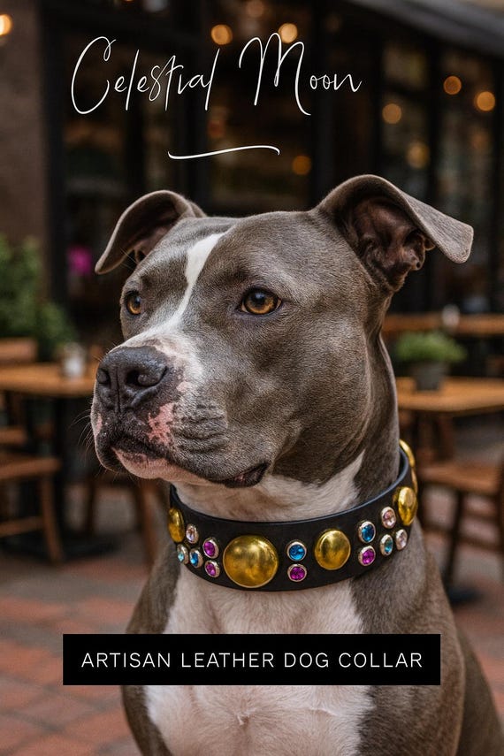 Unique Celestial Moon pattern leather dog collar personalized silver star collar with colorful rhinestone-dog collar with stars galaxy moon