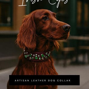 evergreen collar, leather gemmed dog collar customizable, genuine leather dog collar with real bling, large dog collar, small dog collar
