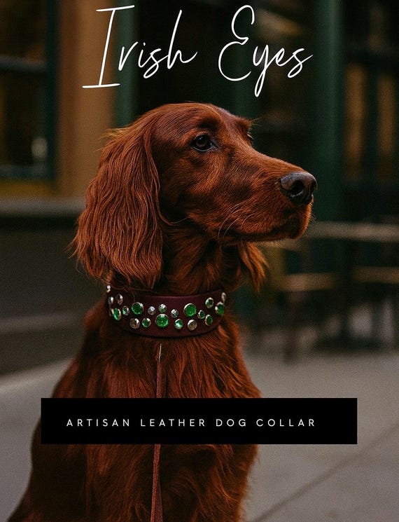 evergreen collar, leather gemmed dog collar customizable, genuine leather dog collar with real bling, large dog collar, small dog collar