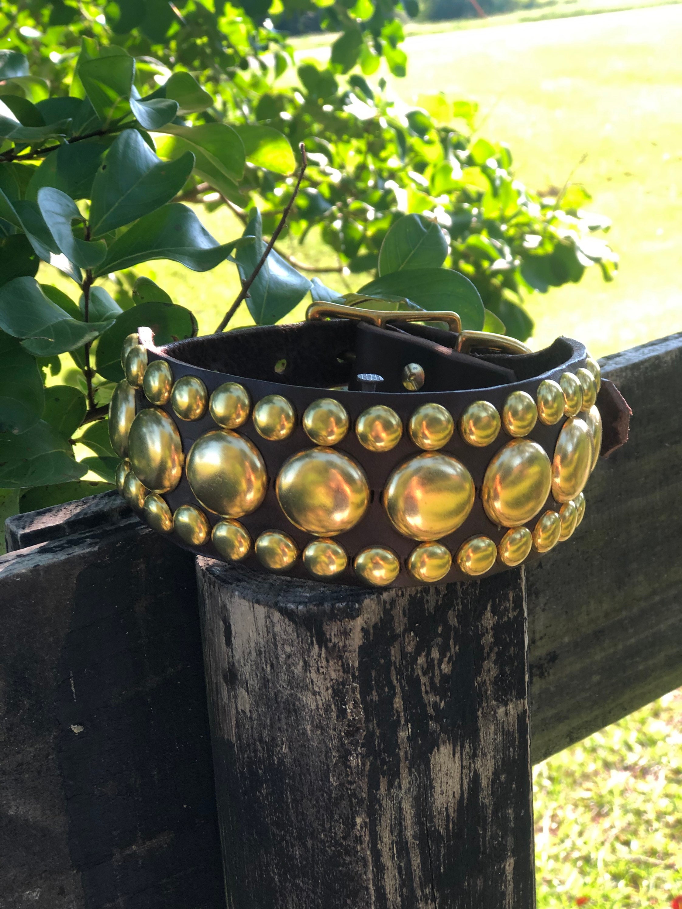 halo collar cost halo collar cost