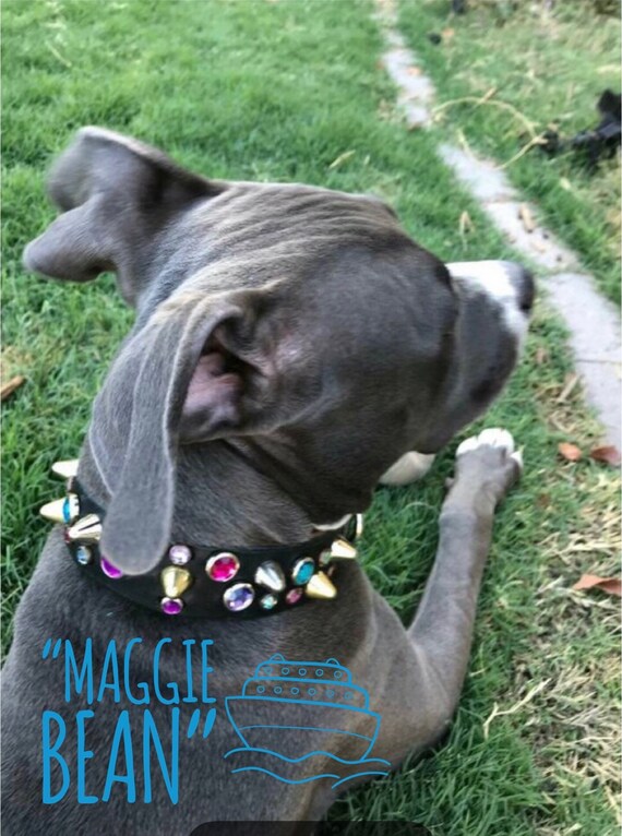 Southern Dog Collar Co.