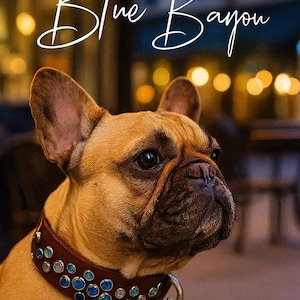 Blue green fancy bling collar, rhinestone  leather dog collar personalized, designer dog collar- French bulldog collar, girly collar dog