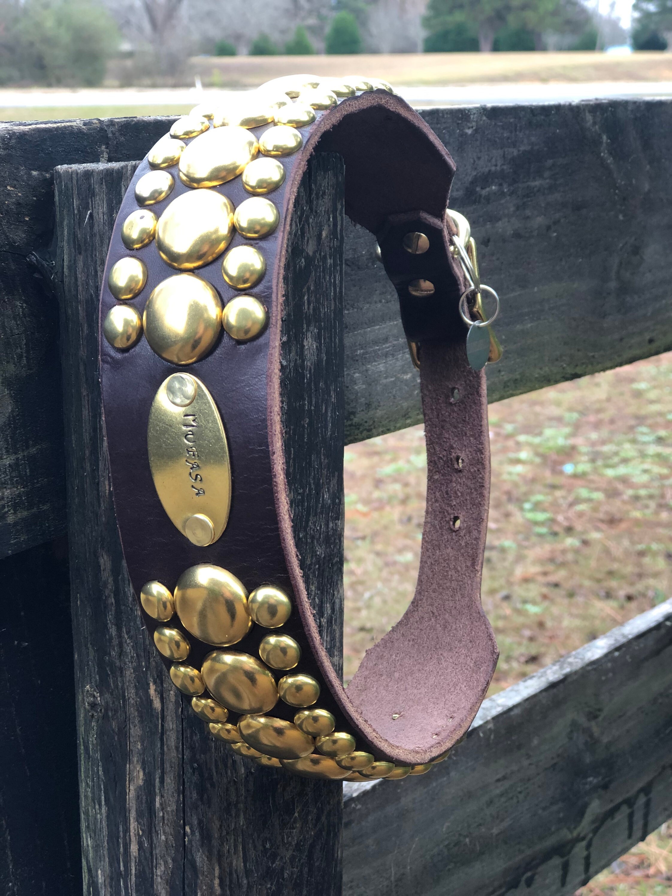 Brown leather Dog Collar in Halo heavy duty dog collar small breed