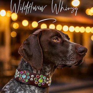 Custom wide Leather rhinestone Dog Collar, Colorful  crystal pattern , Boho Wildflower Whimsy style
