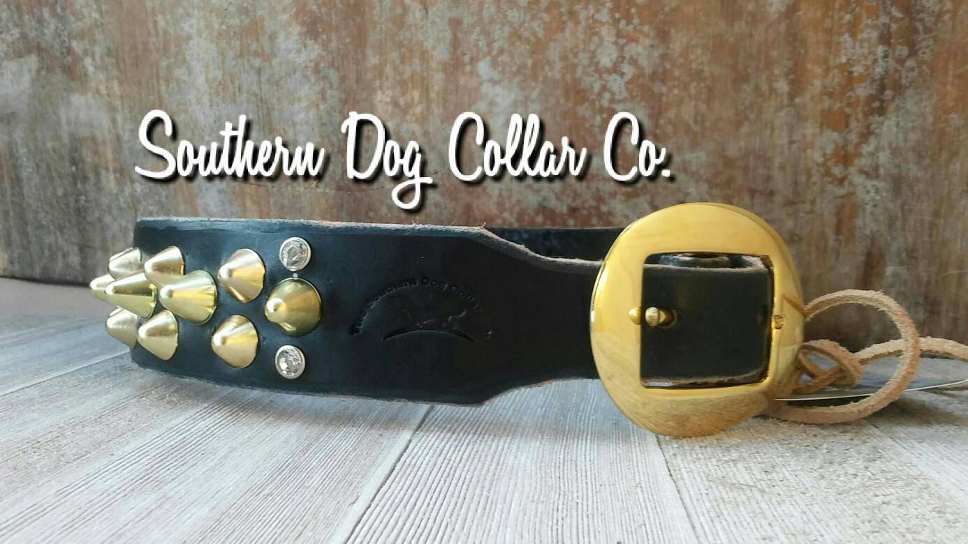 2 inch wide leather and brass studded dog collar bully breed leather