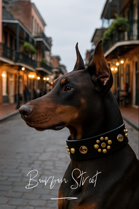 Designer dog collar leather, floral pattern, wide dog collar for large dog with leather brass studs and gems