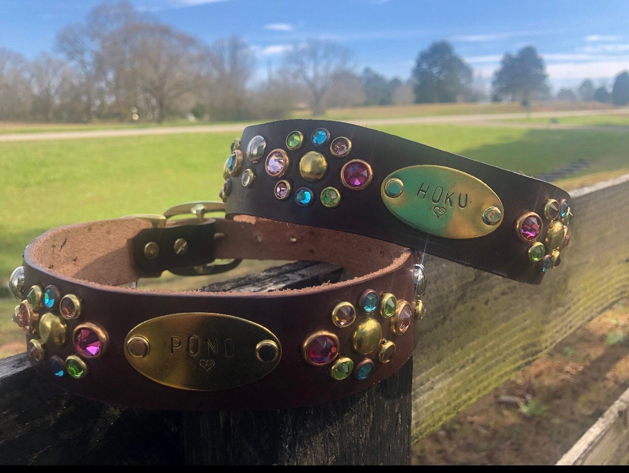 Sangria Sun leather dog collar custom leather dog collar handmade