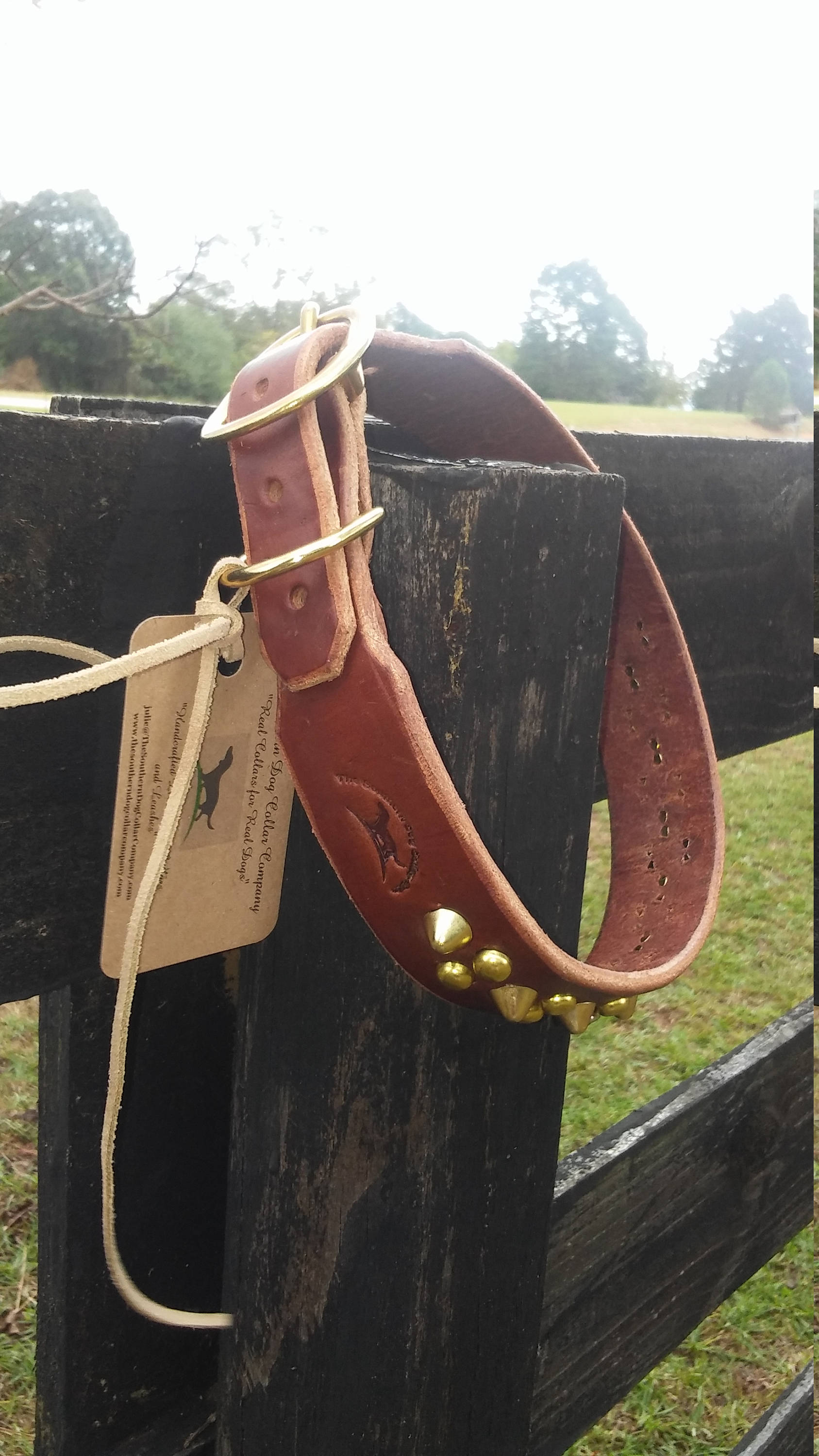 Leather dog collar, personalized pet tag, personalized dog collarboy