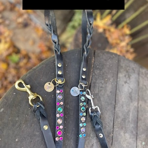 Custom Braided Leather Dog Leash, Personalized Matching Collar, 5ft Lead-free customization