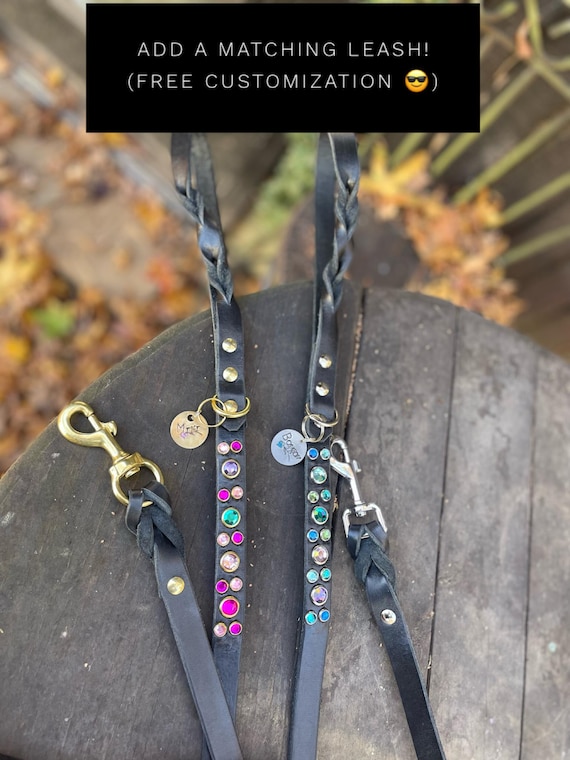 Custom Braided Leather Dog Leash, Personalized Matching Collar, 5ft Lead-free customization