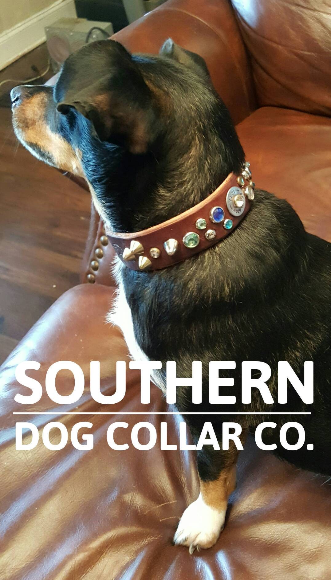 Brown Leather Dog collar with 12 gauge ammo heavy duty dog collarminimalist dog collarsmall