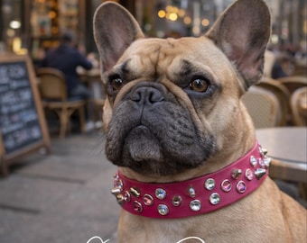 Pink Leather Dog Collar spiked-Gypsy Rose design - girly rhinestone Studded and Spiked Pitbull Collar