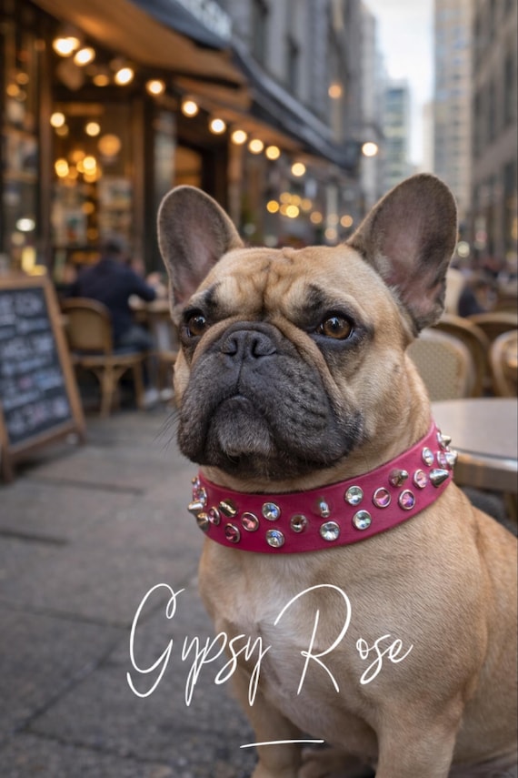 Pink Leather Dog Collar spiked-Gypsy Rose design - girly rhinestone Studded and Spiked Pitbull Collar