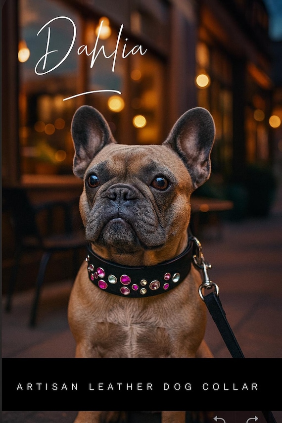 Dahlia hot pink leather dog collar with pink diamond rhinestone crystal-beautiful girly  dog collar beautiful collar- wide Doberman collar