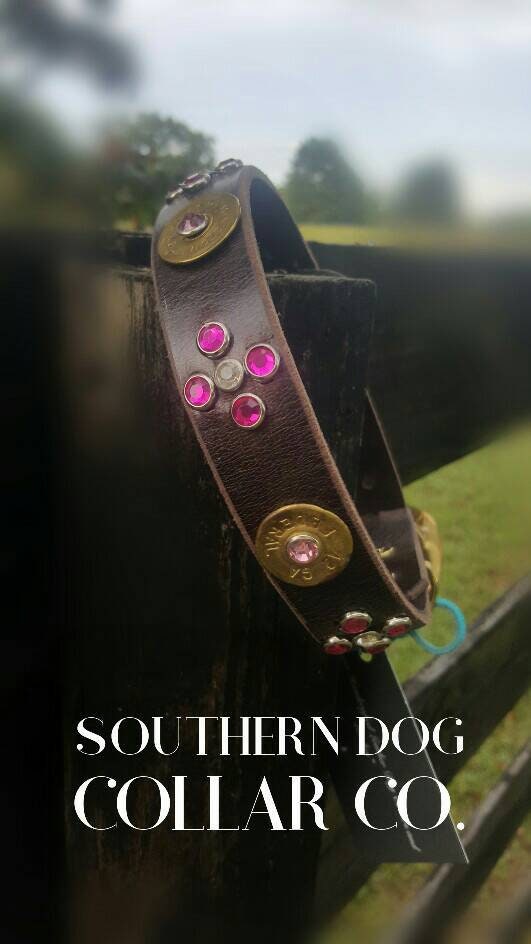 Rustic brown leather dog collar pretty with brass shot gun shell ammo
