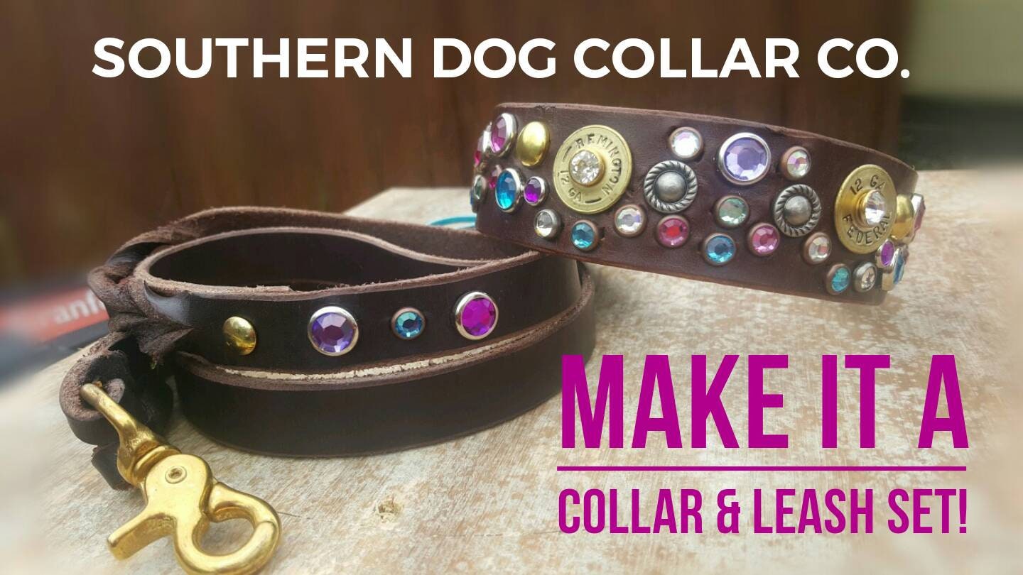gypsy dog collar