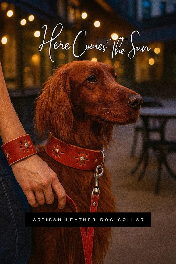 Hippie boho leather dog collar and matching bracelet-Floral pattern collar,boho bracelet w/ matching dog collar;friendship bracelet set