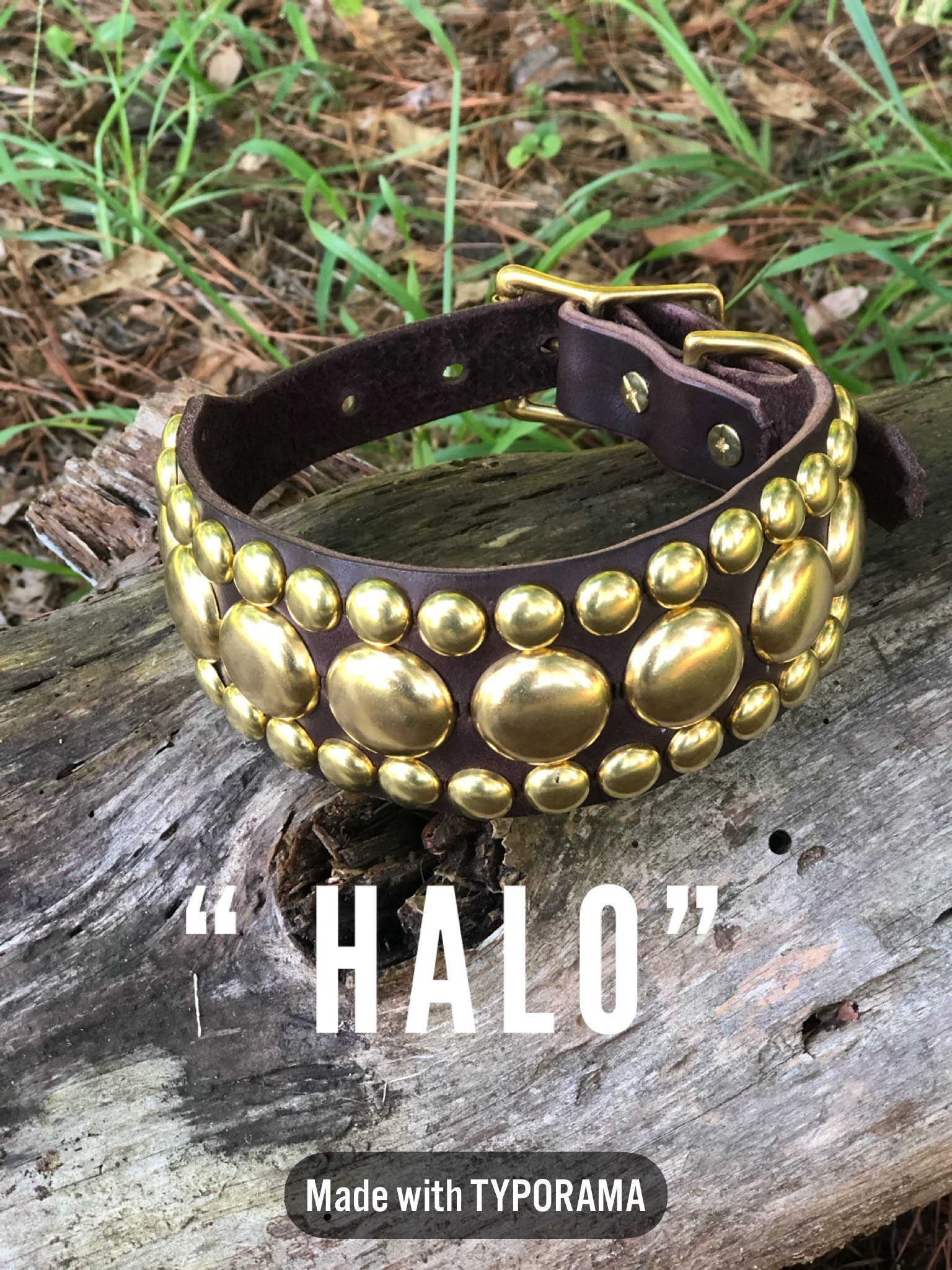 Halo Leather Dog Collar , wide Leather dog collar, dog collar with gems