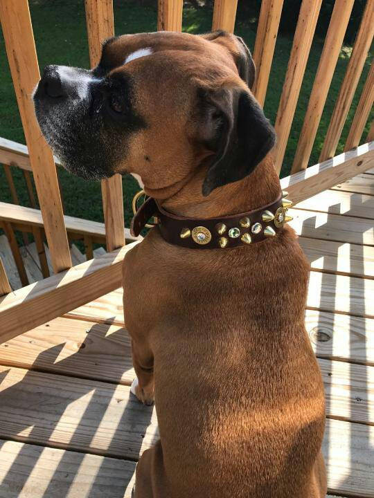 Leather dog collar - Hand Stamped Name Tag-boy dog collar- shotgun