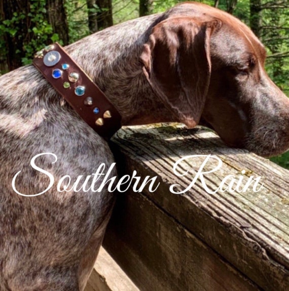 Customizable genuine leather Dog collar with 12 gauge ammo- heavy duty dog collar-durable dog collar-multiple size collar-new puppy collar