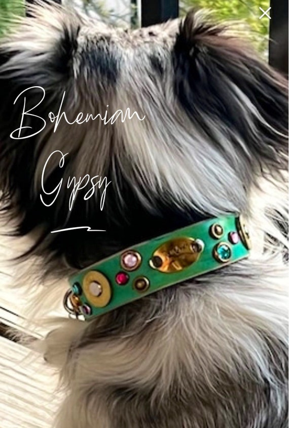 Gypsy dog collar cheap