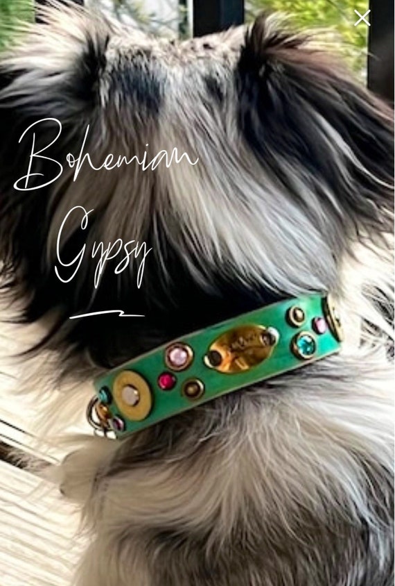 Unique Gypsy turquoise leather dog collar, shotgun ammo dog collar, designer leather dog collar, bling dog collar leather, boho dog collarrr