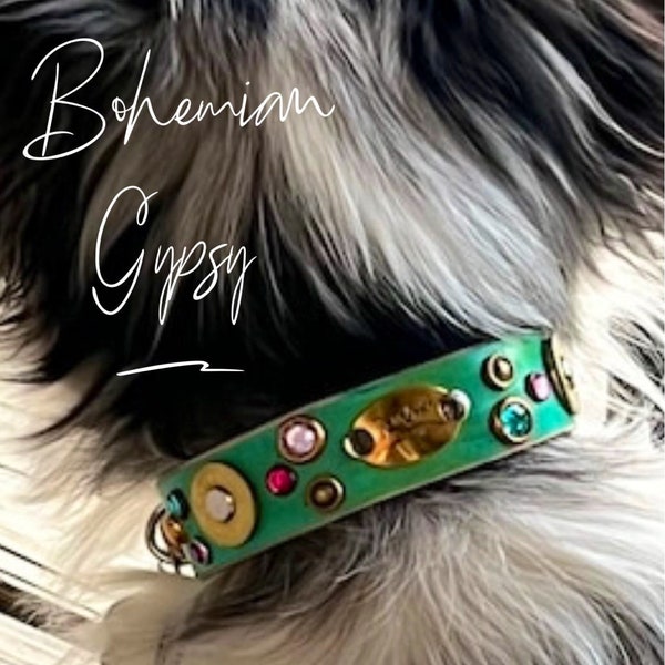 Unique Gypsy turquoise leather dog collar, shotgun ammo dog collar, designer leather dog collar, bling dog collar leather, boho dog collarrr