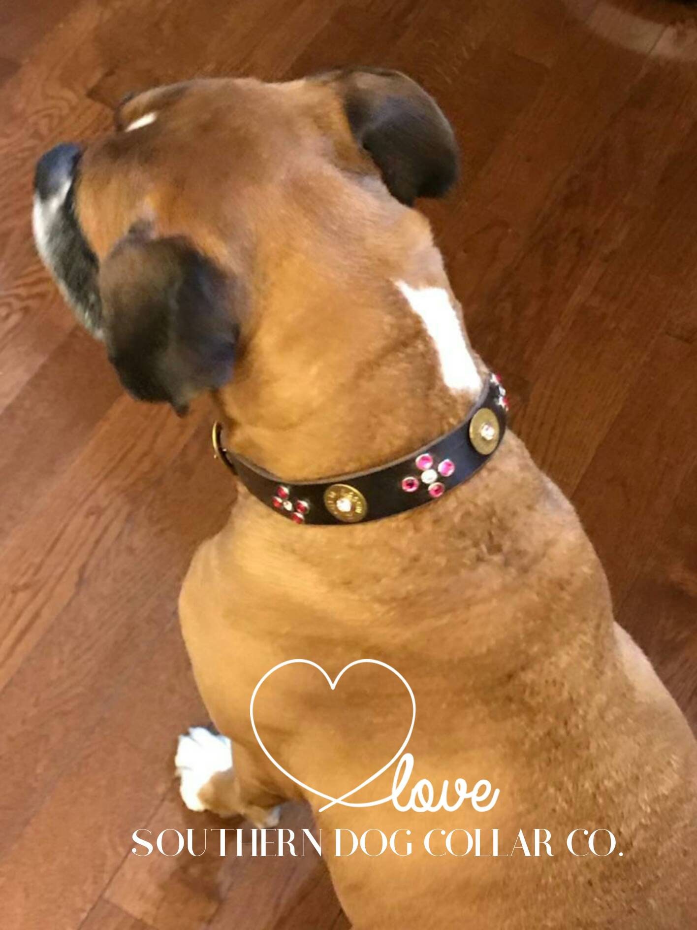 Rustic brown leather dog collar pretty with brass shot gun shell ammo