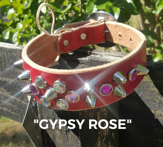 gypsy dog collar