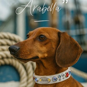 Genuine  leather dog collar with name /red, white and blue rhinestone bling, xxs dog collar personalized , xxl dog collar,cat  puppy collar