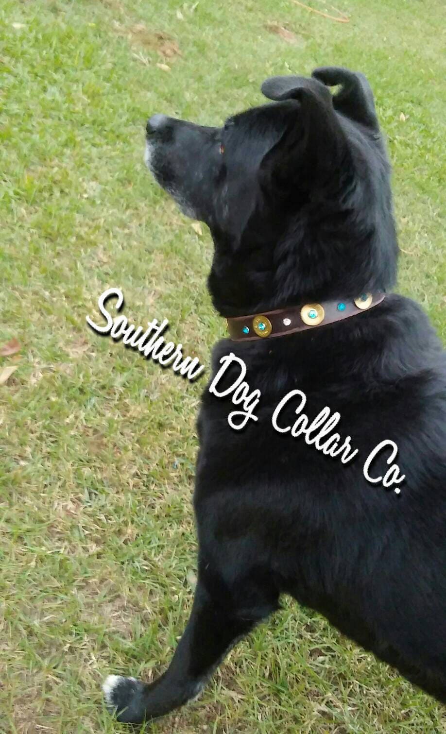 Rustic vintage brown leather dog collar with buckle and rhinestone bling, 12 gauge ammo brass