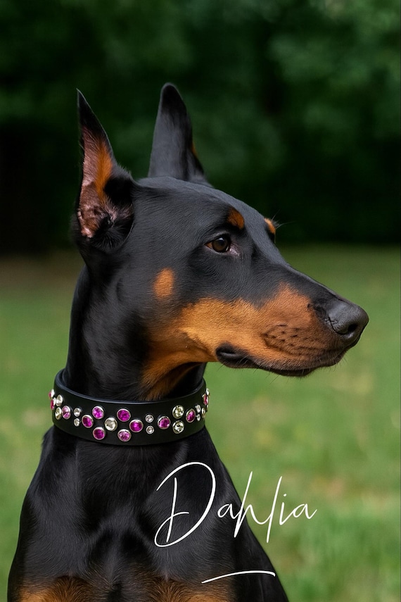 Dahlia hot pink leather dog collar with pink diamond rhinestone crystal-beautiful girly  dog collar beautiful collar- wide Doberman collar