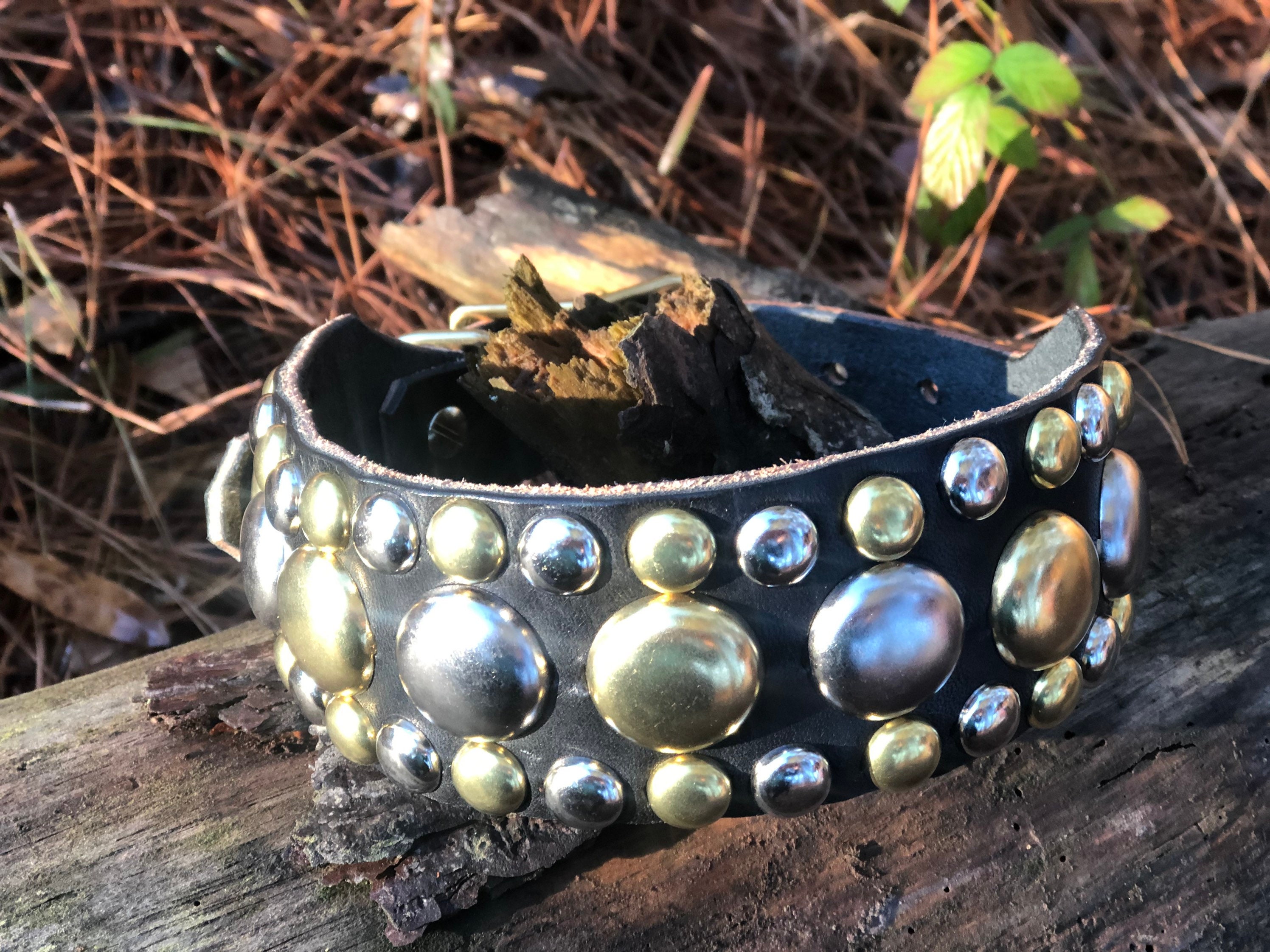 halo collar halo collar