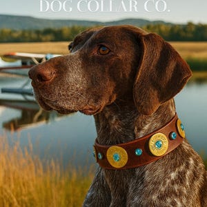 Shotgun dog collar-leather dog collar with buckle and  rhinestone bling- 12 gauge ammo brass shotgun shell dog collar-hunting dog collar