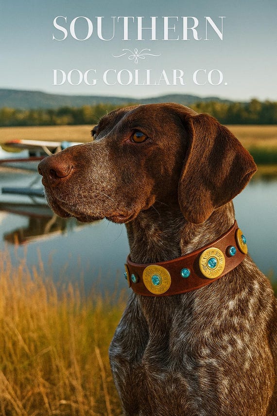 Rustic vintage brown leather dog collar with buckle and  rhinestone bling, 12 gauge ammo brass-shotgun shell dog collar-hunting dog collar