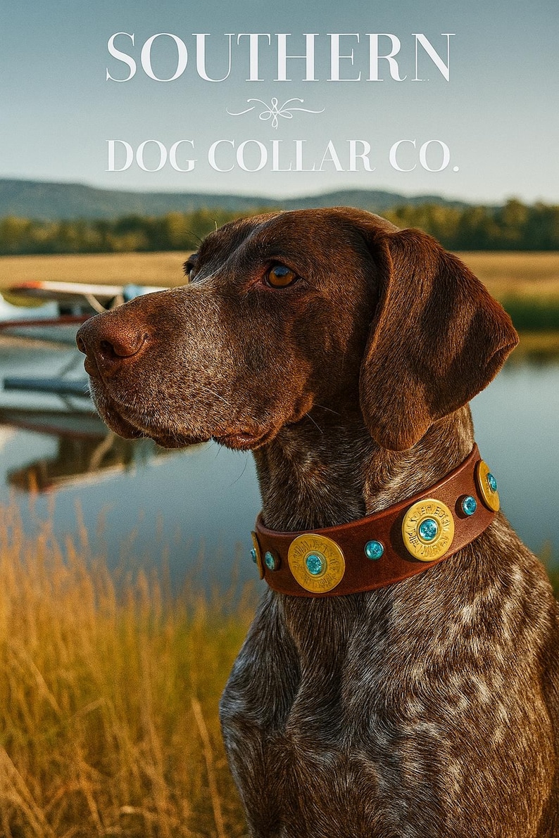 Shotgun dog collar-leather dog collar with buckle and rhinestone bling- 12 gauge ammo brass shotgun shell dog collar-hunting dog collar afbeelding 1