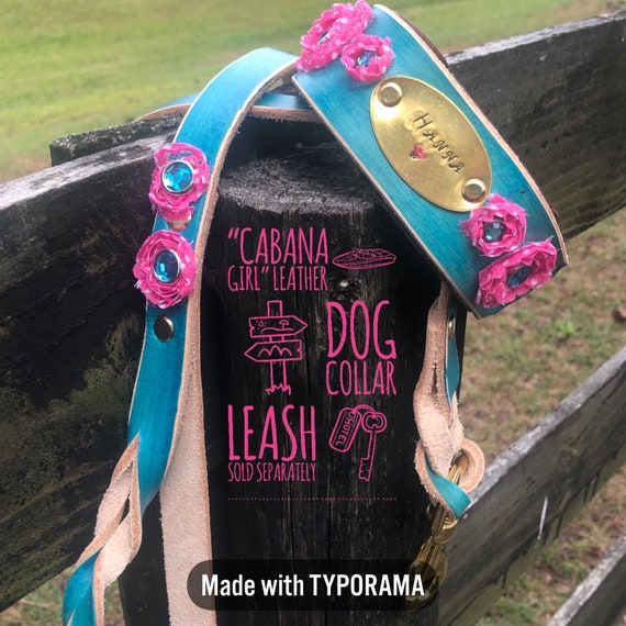 Southern Dog Collar Co.