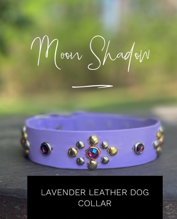 Boho lavender dog collar, berry leather dog collar, rhinestone bling, Doberman girly collar-floral hippie dog collar, female dog collar