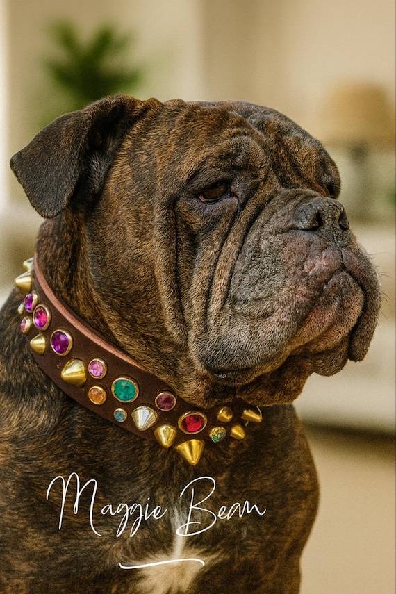 dog collar leather spikes,bling leather dog collar -dog collar leather studs, big dog collar leather Rottweiler collar-dog collar bling