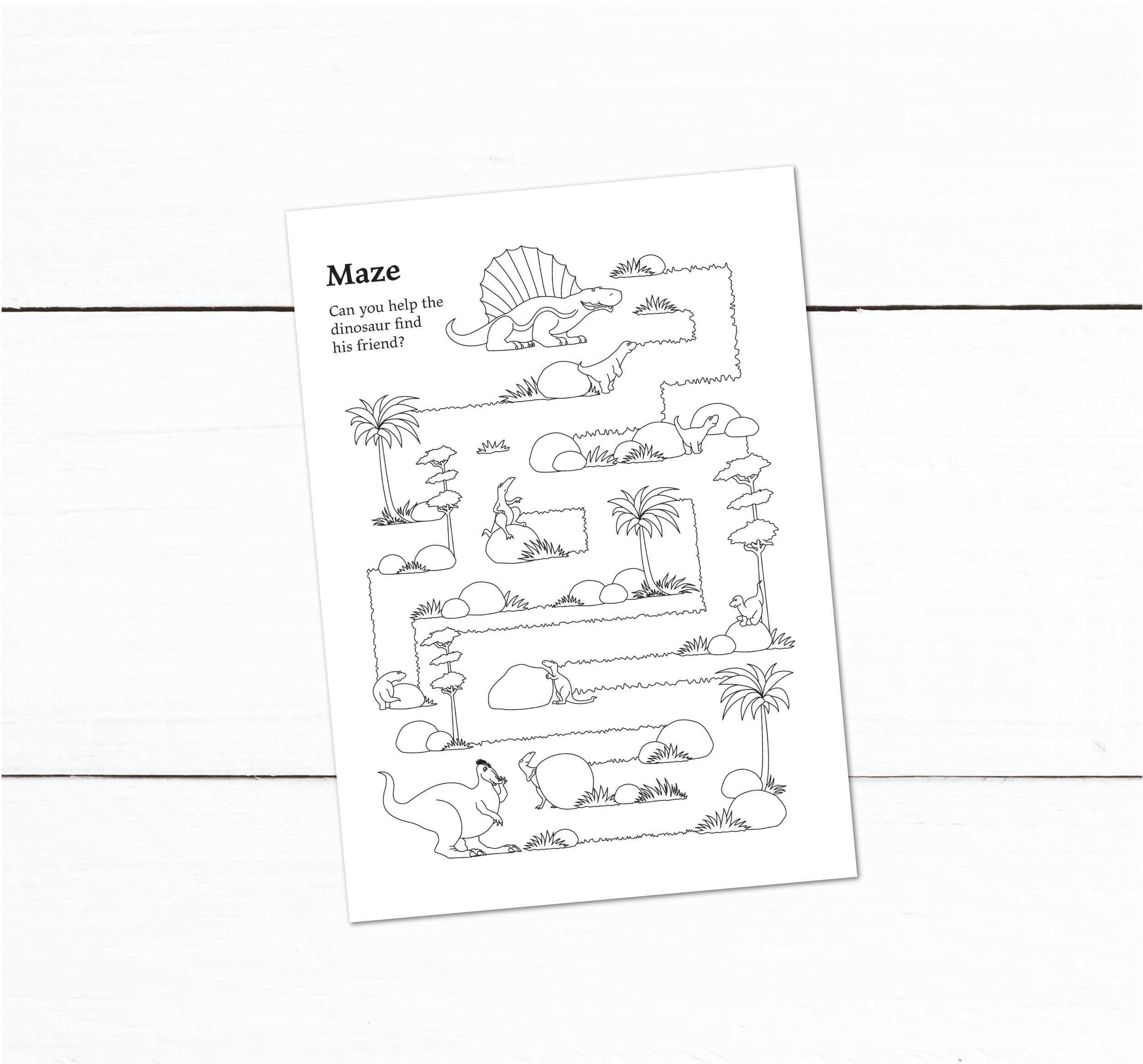 Dinosaur Birthday Party Invitation Young Wild and Three Birthday