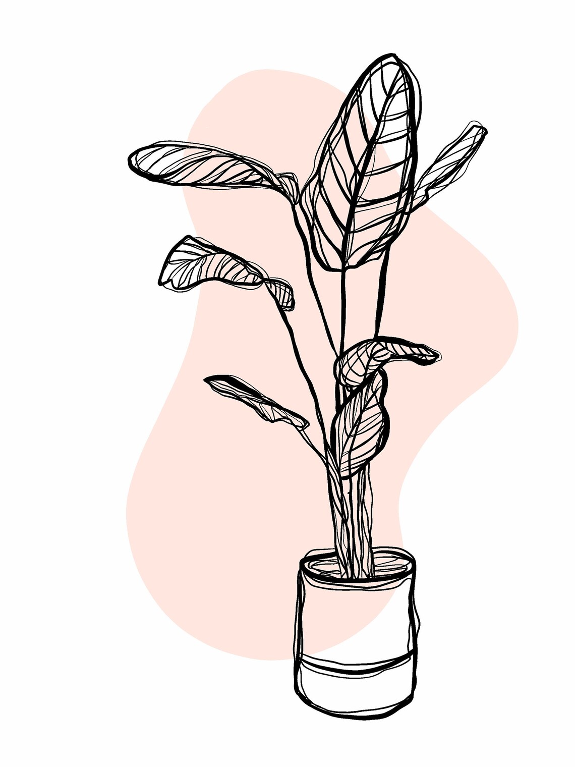 House Plant Line Drawing Printable Downloadable Poster Etsy