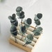 see more listings in the Eucalyptus hair pins section