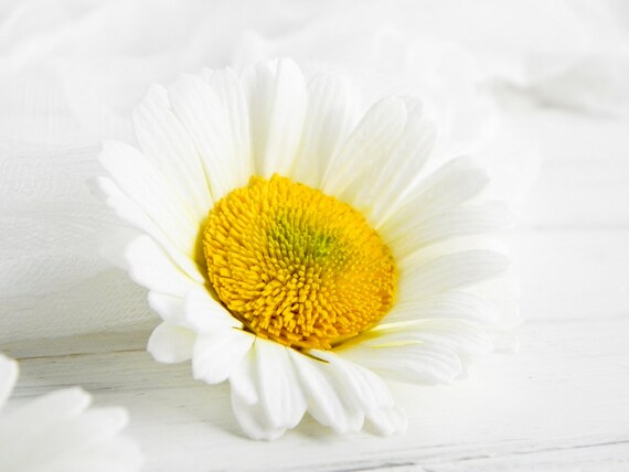 daisy hair accessories